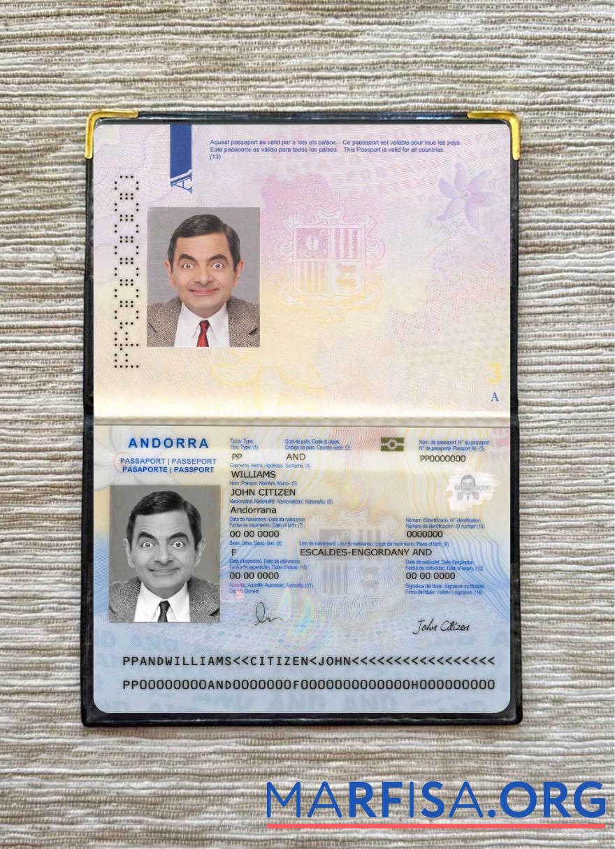 Printable Andorra passport photo look sample